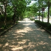 dscf3861.jpg