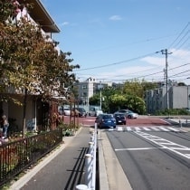 img_3713.jpg